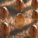 Salted Caramel Praline Crunch