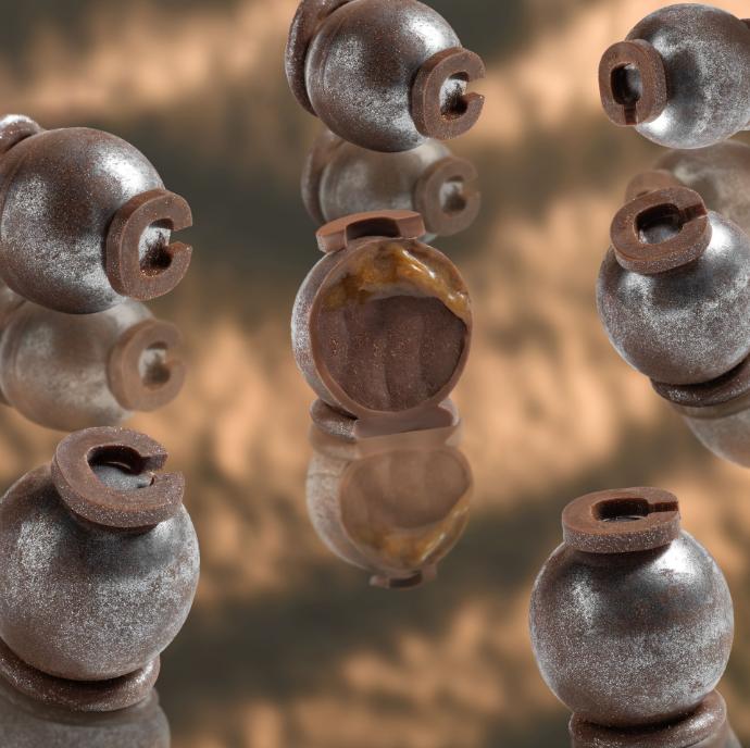 Silver Caramel Bliss