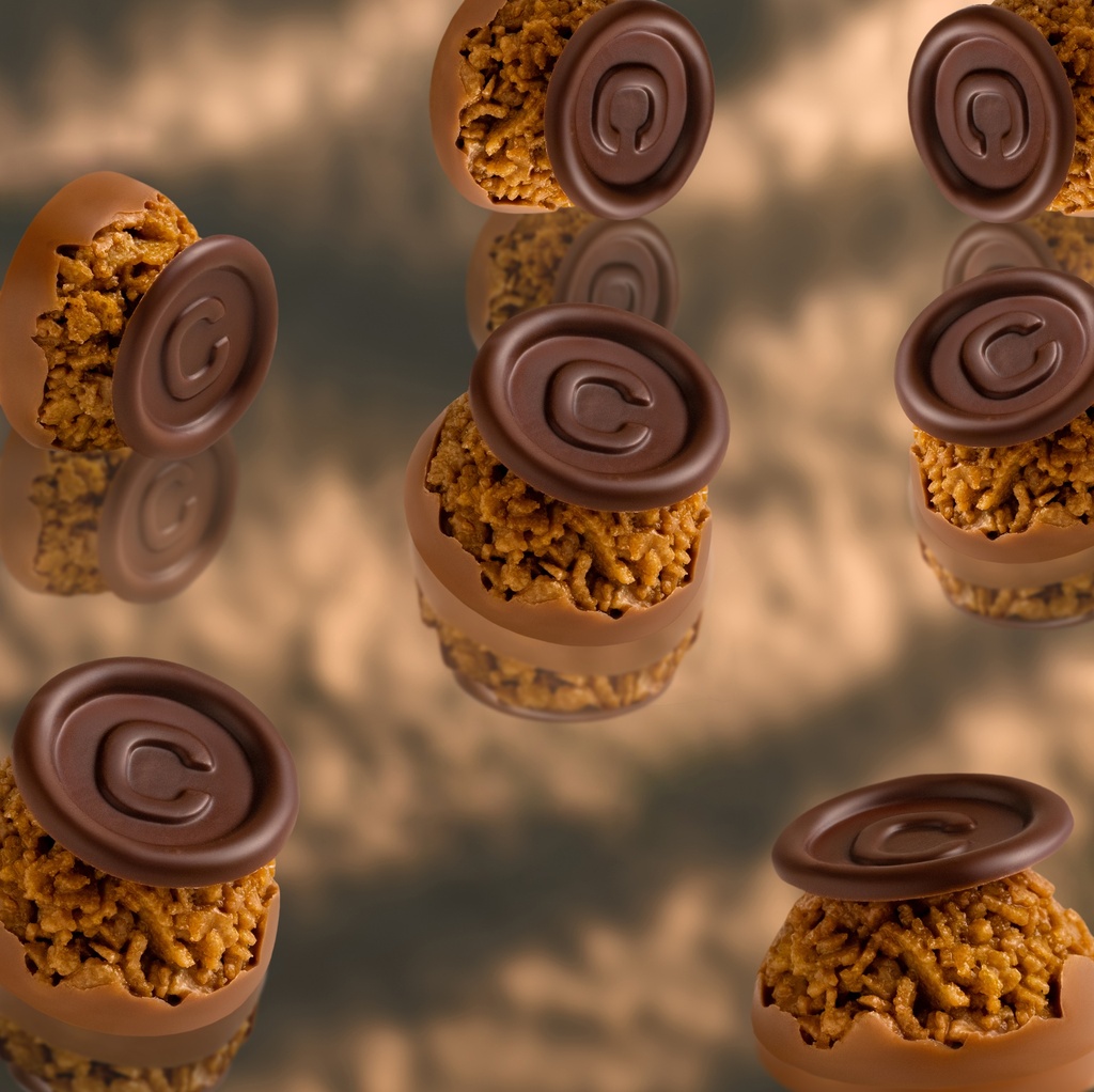 [Coc-001031] فليكس مقرمش